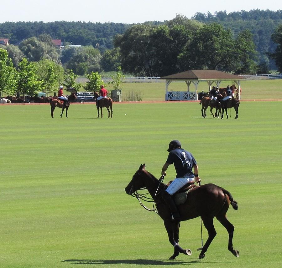 Trening przed meczem w polo, Sowiniec