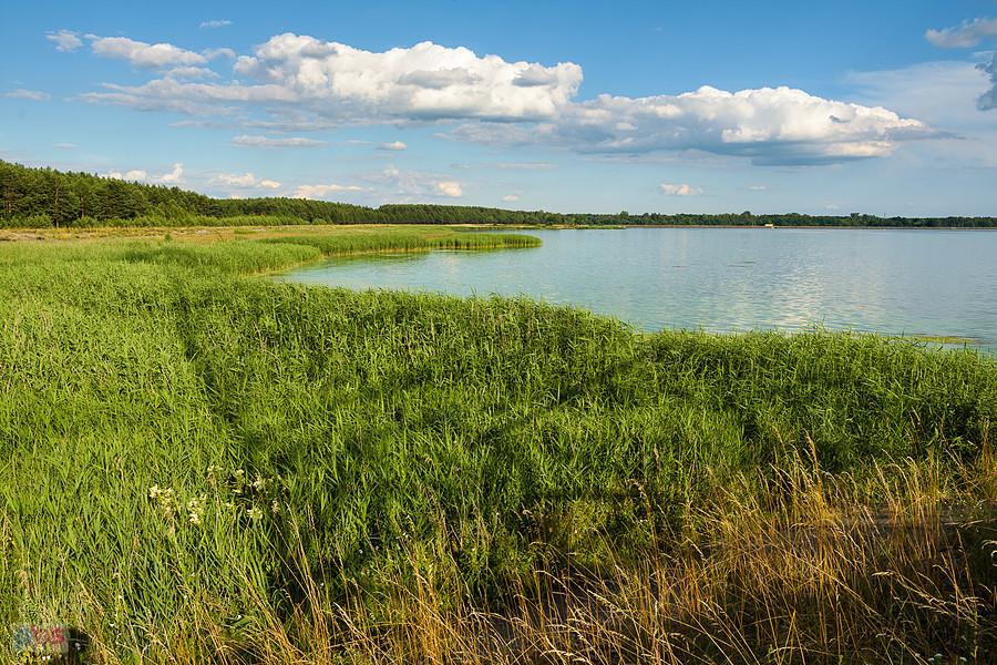 Postój nad zbiornikiem wodnym "Poraj" - widok w kierunku Masłońskiego