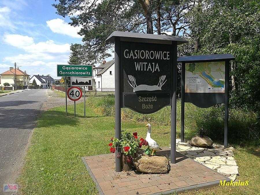 Gąsiorowice-szlak gąski