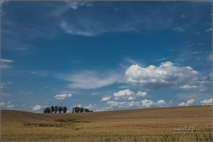 Podziwianie obłoków
