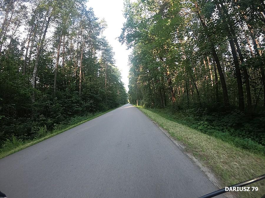 Droga pomiędzy Jadowniki Mokre a Zaborów
