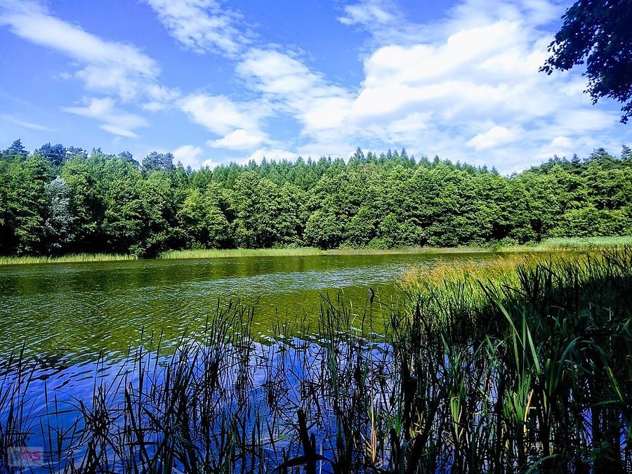 Jezioro Żygowieckie