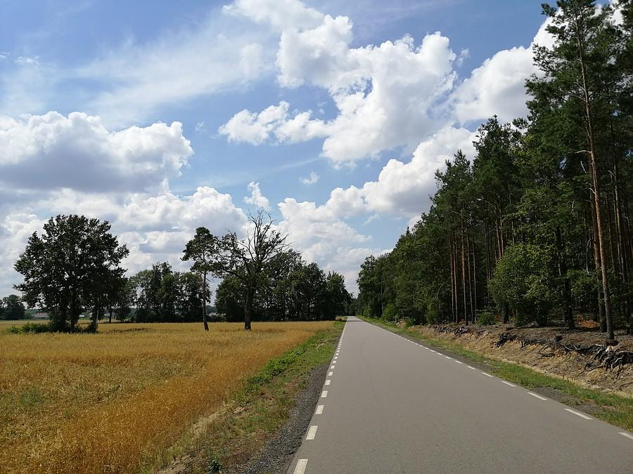 W Dzięciołach na południowy-wschód od Brzezin, skręcam w lewo na Wojków, gdzie wita mnie piękna droga.
