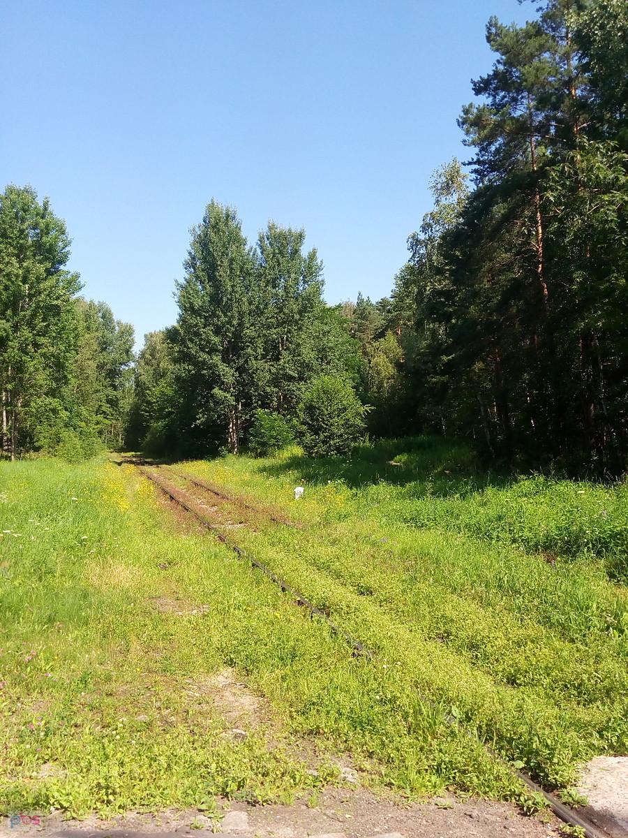 po tym torze dwa razy na dobę jedzie pociąg do huty i z powrotem