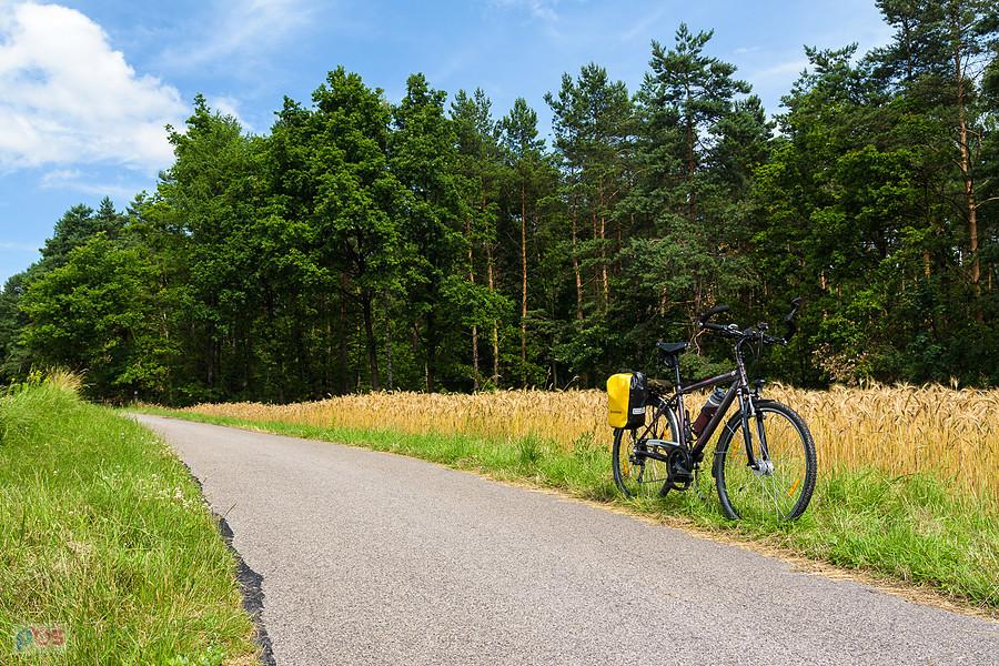 Widok na ścieżkę pieszo-rowerową z Żarek do Czatachowy