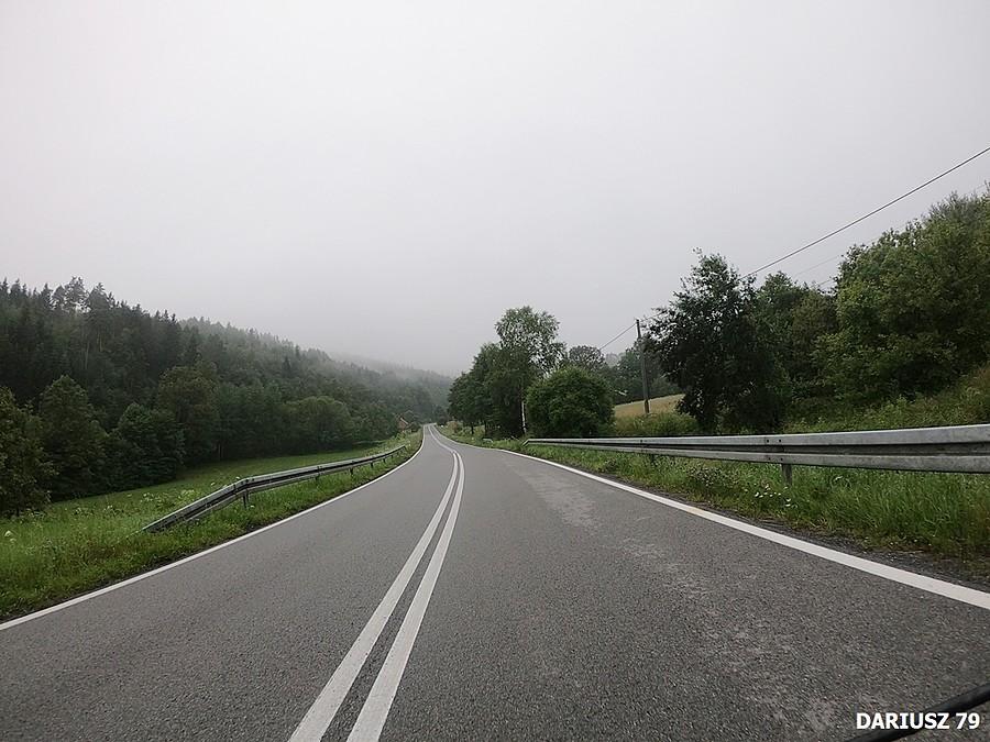 Bujne