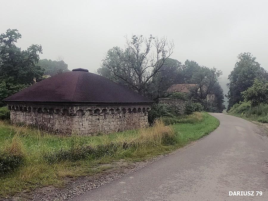 Ruiny Zamku Dolnego w Rożnowie