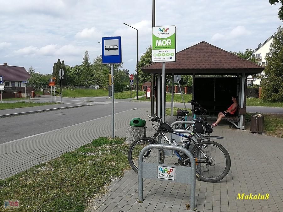 MOR Krzywe