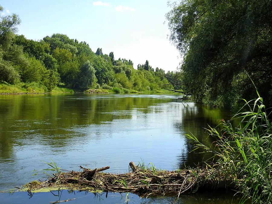 Warta z wysokości Lasu Dębińskiego, Poznań