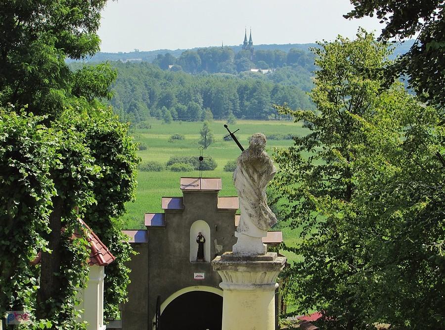 W oddali widać wieże kościoła w Mokrymlipiu