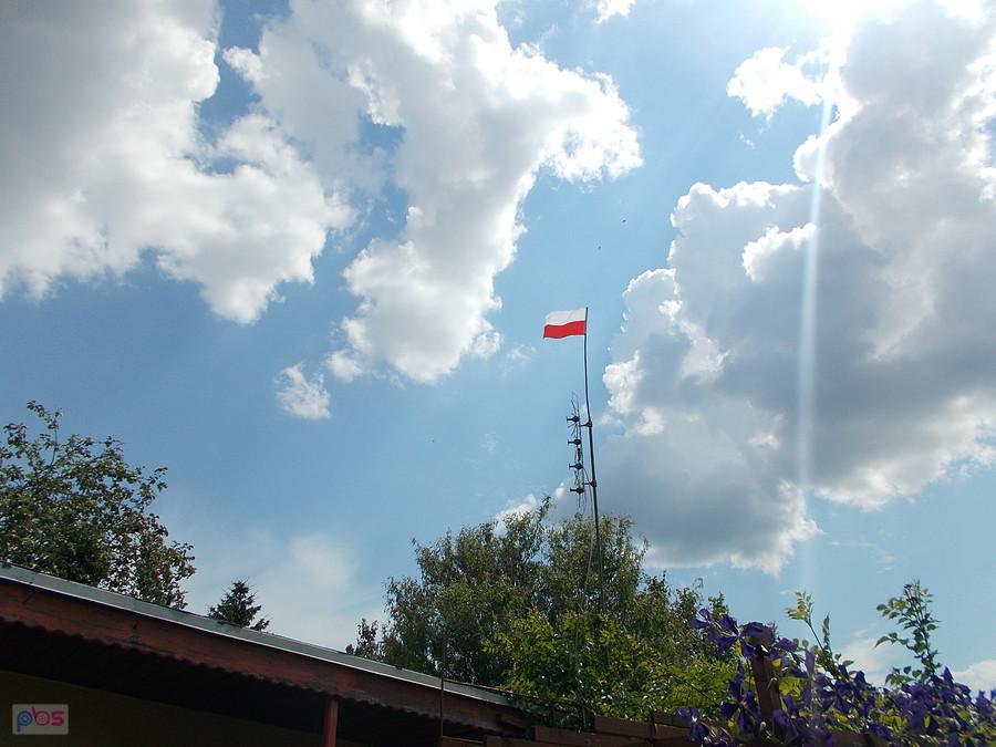 Działka Dareckiego