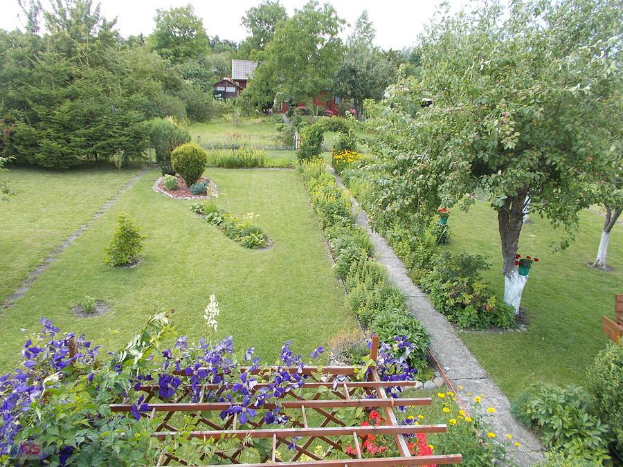Działka Dareckiego
