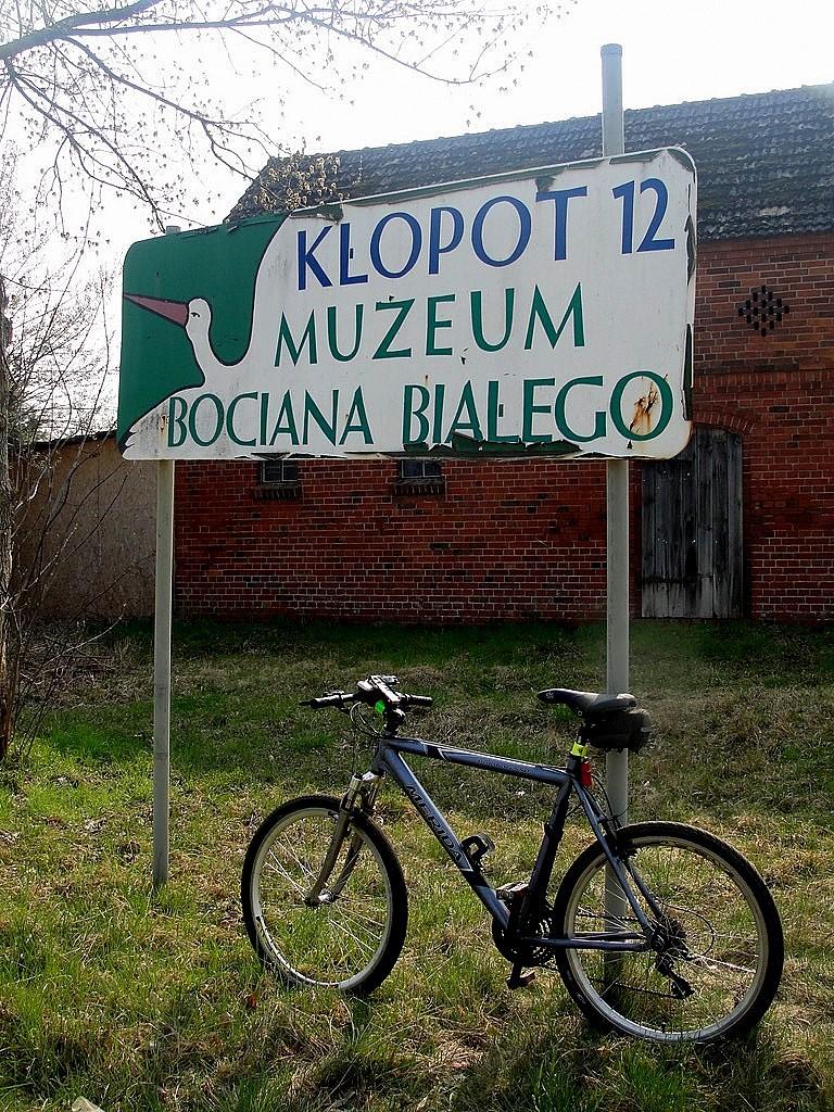 W drodze do Muzeum Bociana Białego w Kłopocie