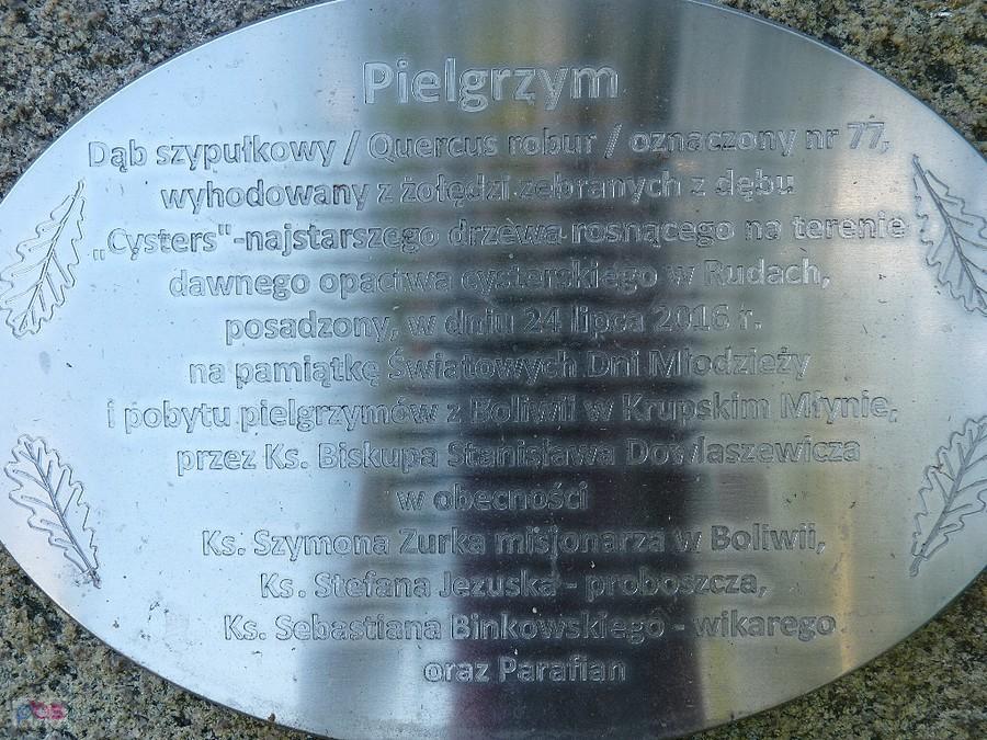 Pielgrzym