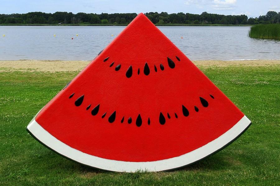 Arbuzik, owocowa plaża w Zborowie
