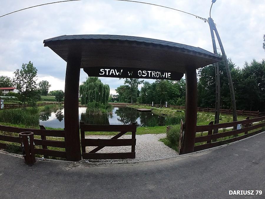 Ostrów - Staw
