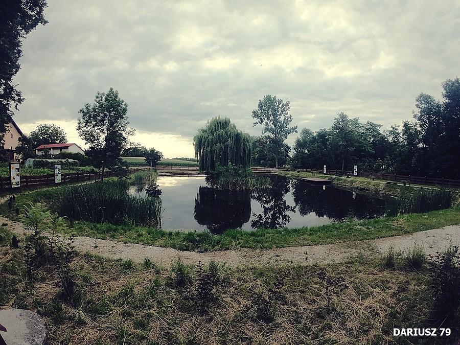 Ostrów - Staw