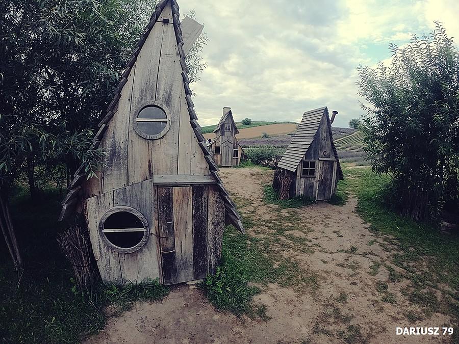 Ogród pełen lawendy - Ostrów