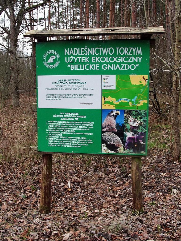 Użytek ekologiczny - Bielickie gniazdo