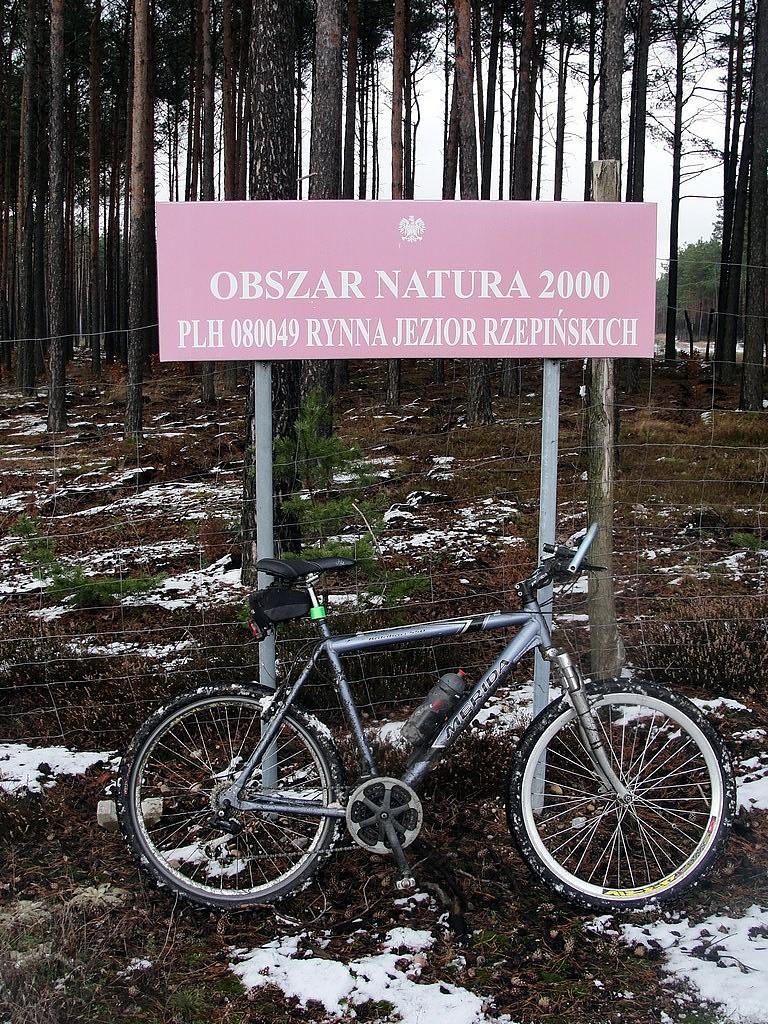 Obszar Natura 2000 - Rynna Rzepińskich Jezior