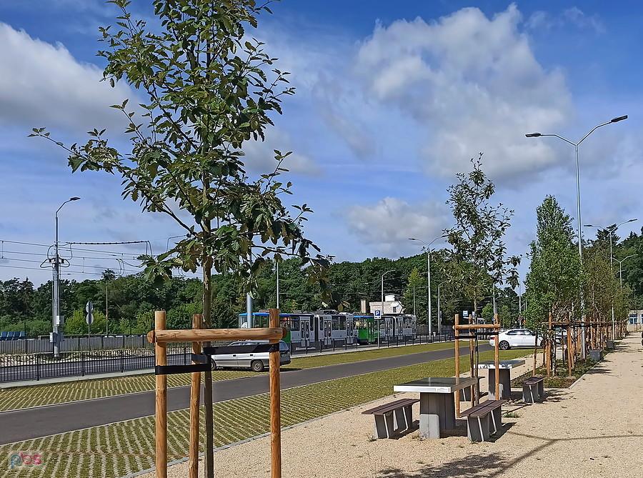 Pierwszy dzień przejazdu tramwaju linii nr 3 przy stadionie .