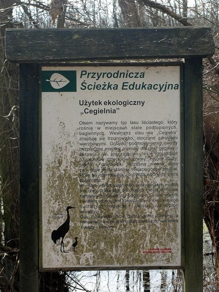 Użytek ekologiczny "Cegielnia"