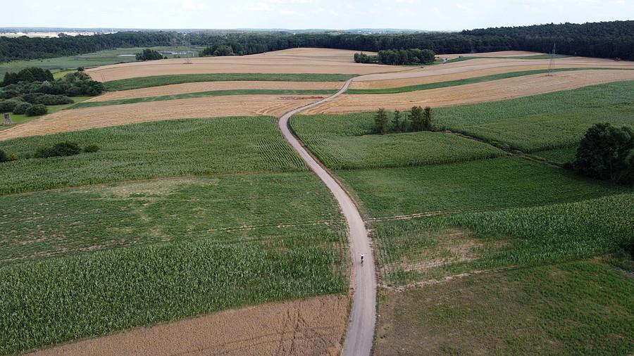 Urok moich zachodnich rewirów, głównie pola i fragmenty lasów