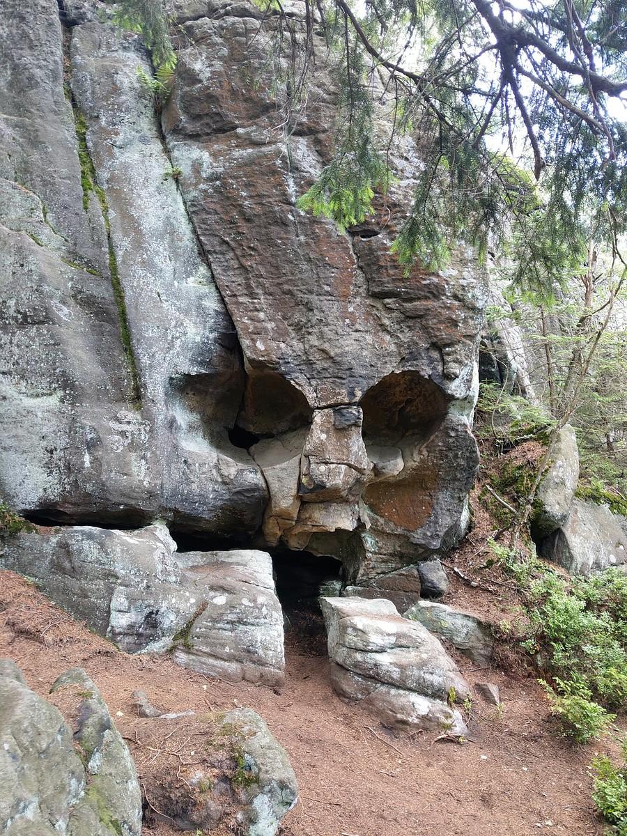 Trupia czacha