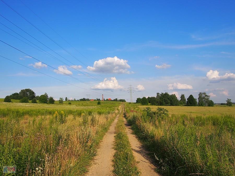 Opłotkami Wojkowic