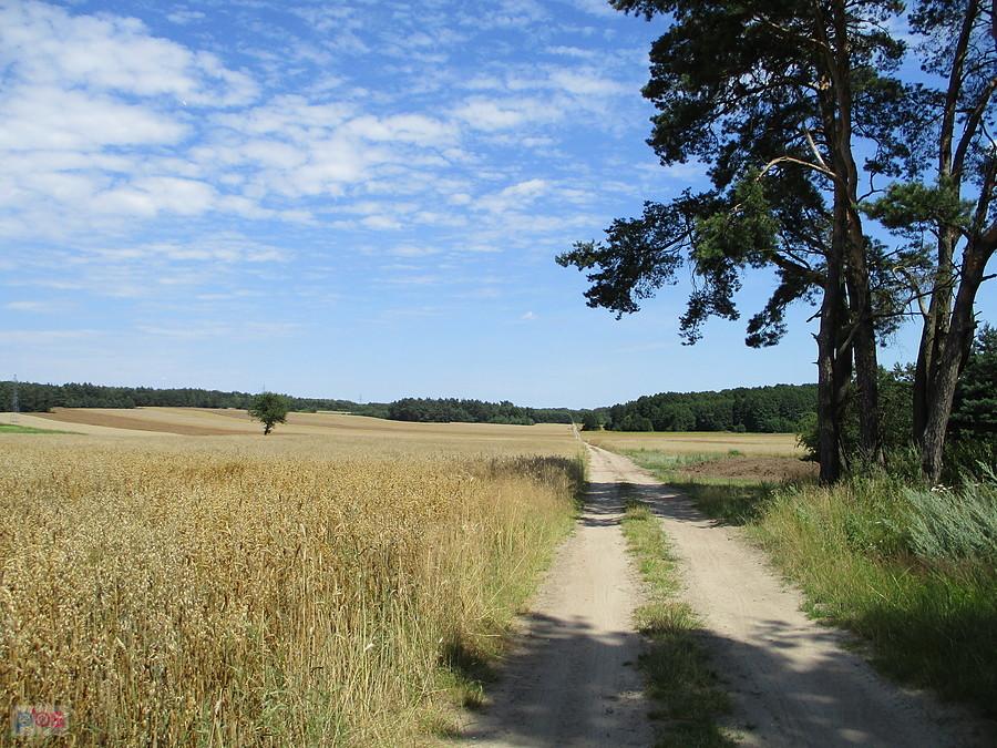 Tu było naprawdę gorąco, parno i piaszczysto