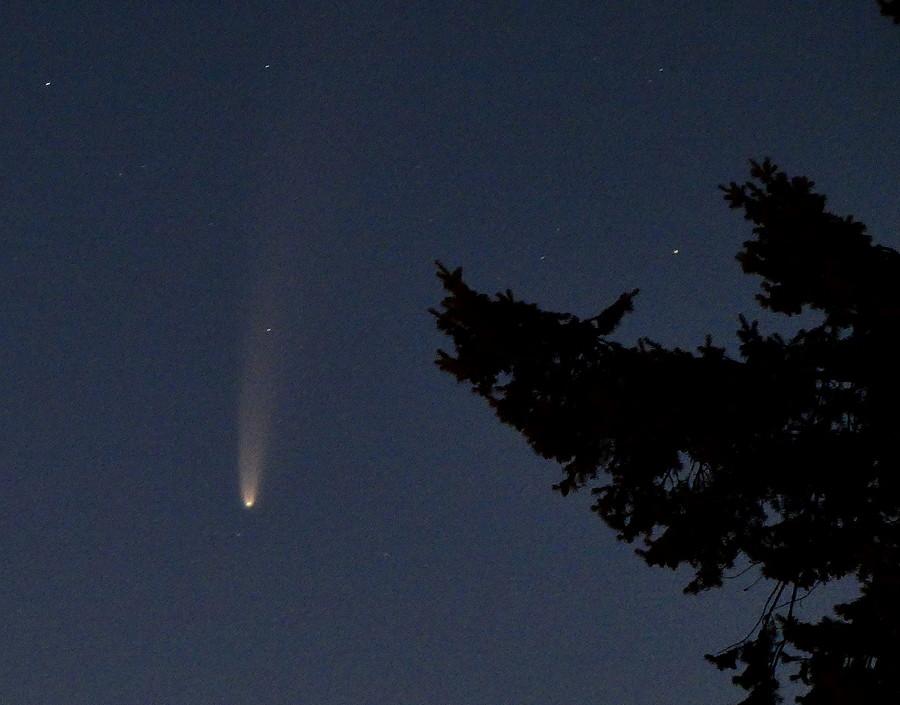 Kometa C/2020 F3 (NEOWISE) nad Rzepinem