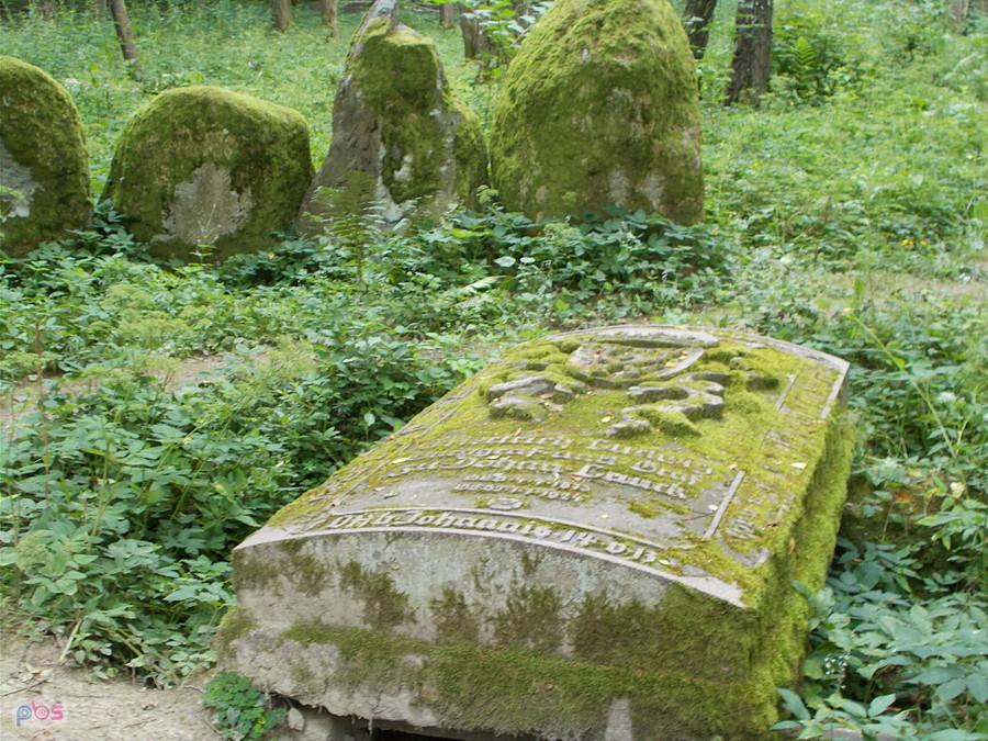 Pseudomegalityczny cmentarz Dohnów w Markowie