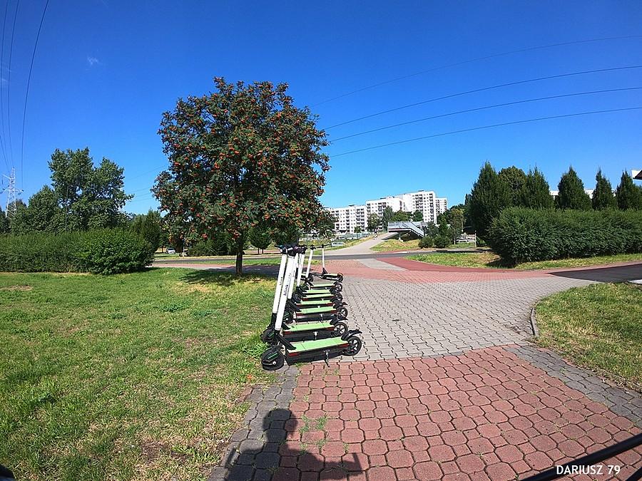 Sosnowiec - Zawitały hulajnogi blinkee