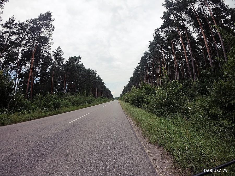 Szczecno