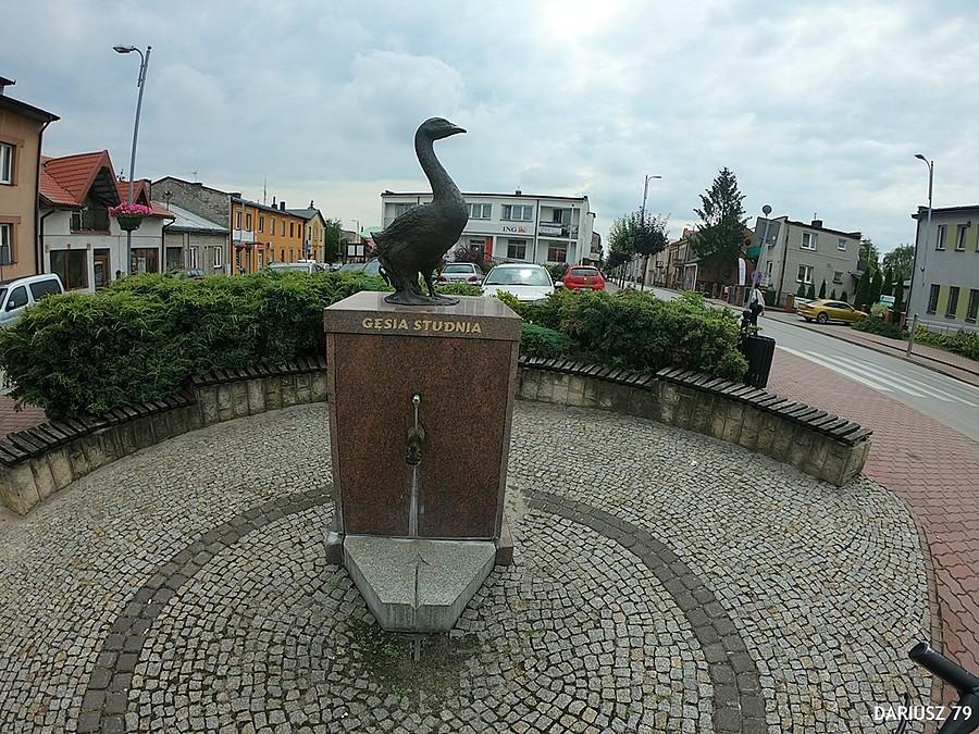 Chmielnik -Gęsia studnia