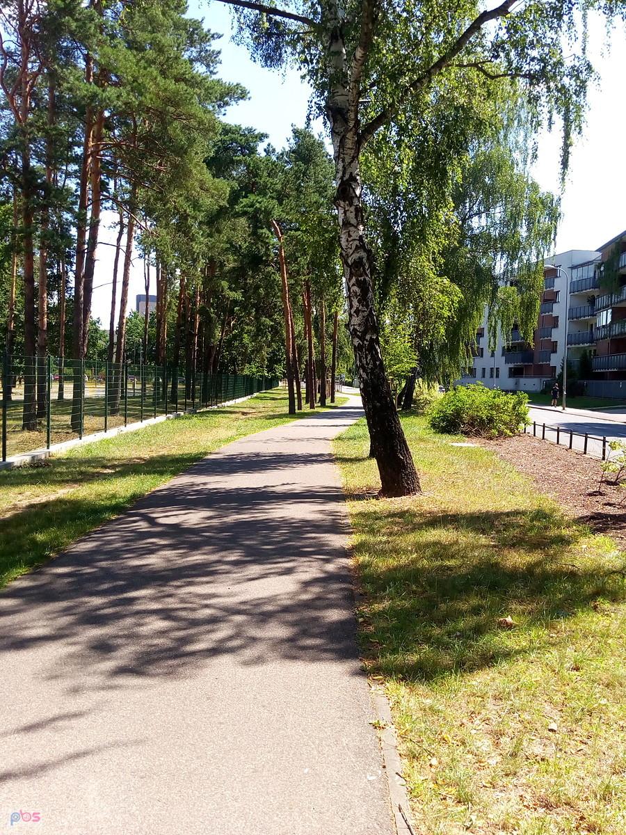 Ścieżka spacerowa wśród drzew na osiedlu