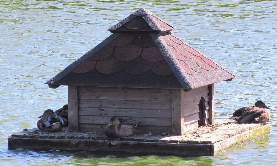 Czyżby nowa, lepsza Nowogrodzka? :)