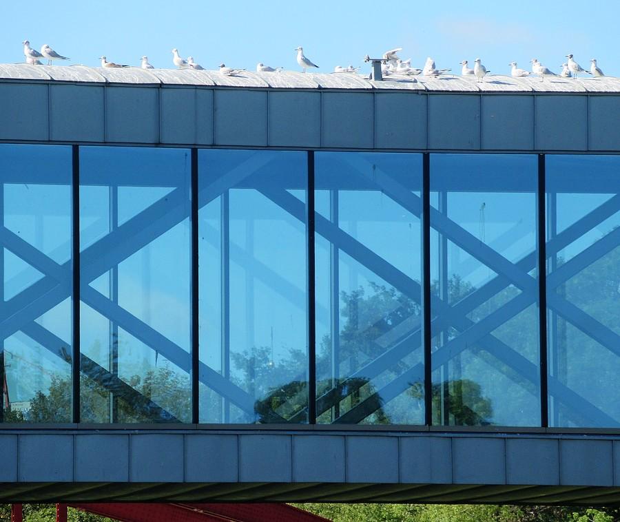 Przejrzysta część Śluzy Katedralnej - Ostrów Tumski, Poznań