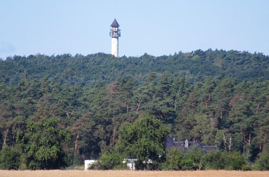 Wieża widokowa na szczycie Dziewiczej Góry