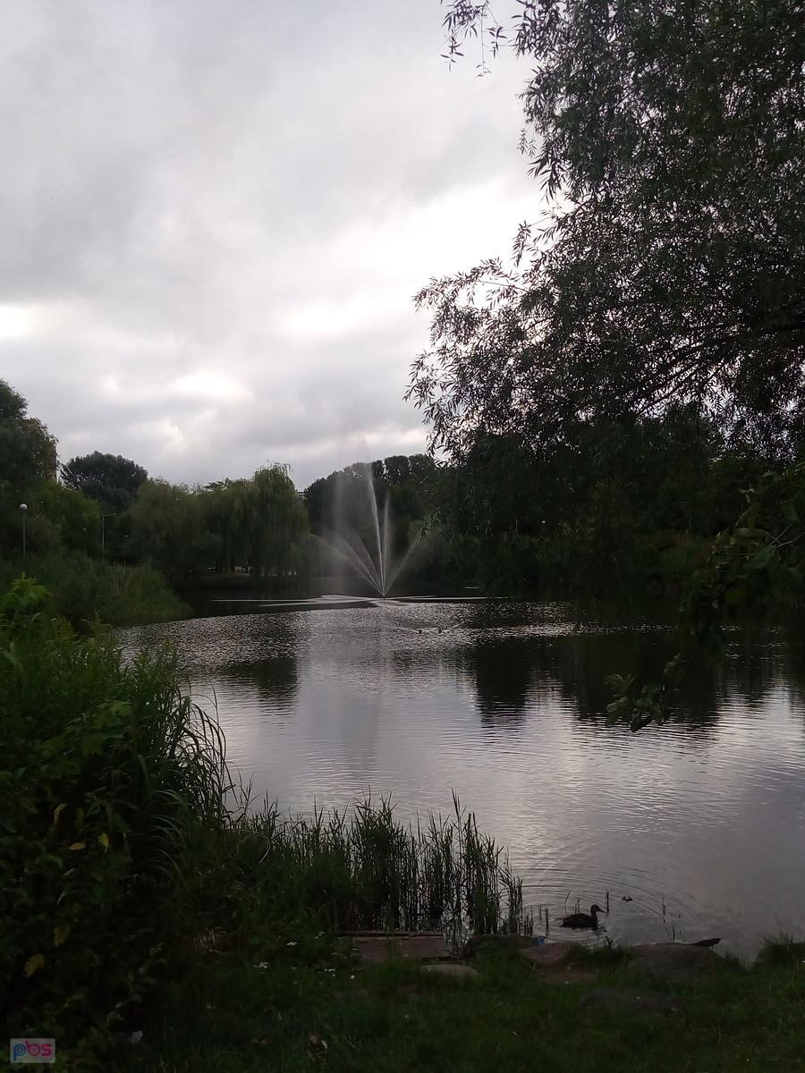 Staw na osiedlu