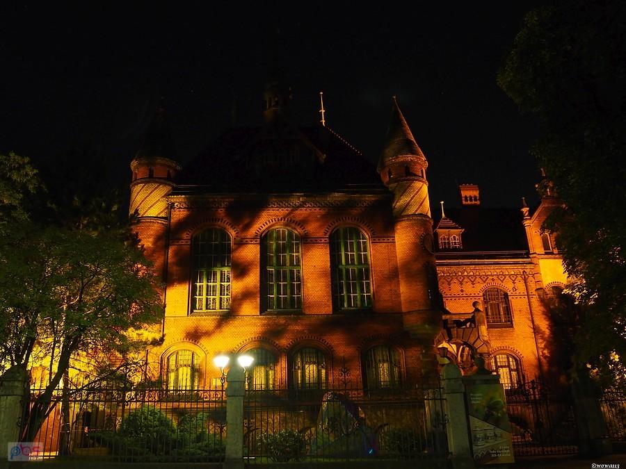 Muzeum Górnosląskie