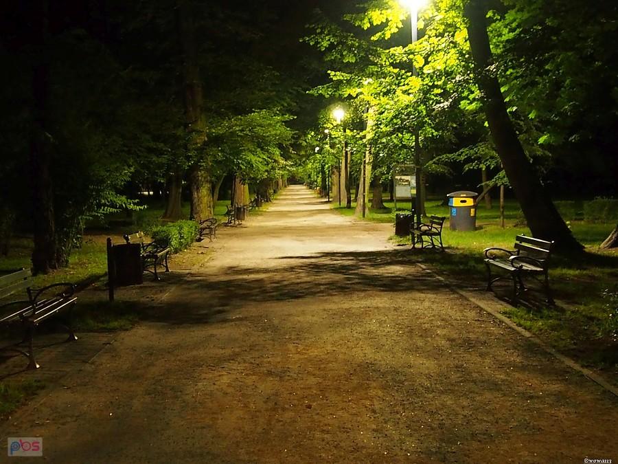 Park miejski