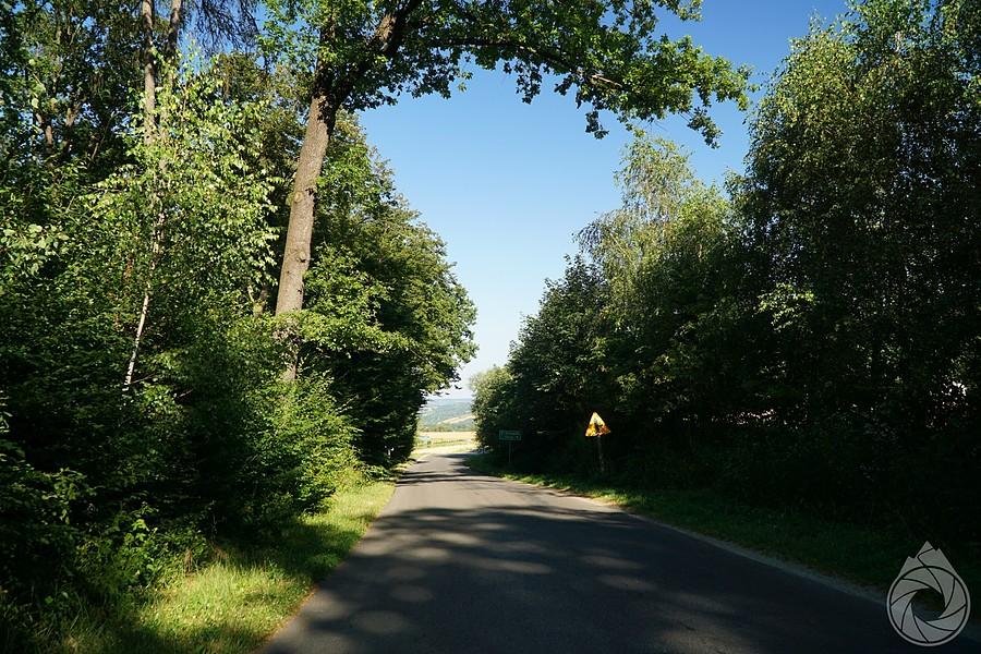 wyjaz z lasu nad Głobikową