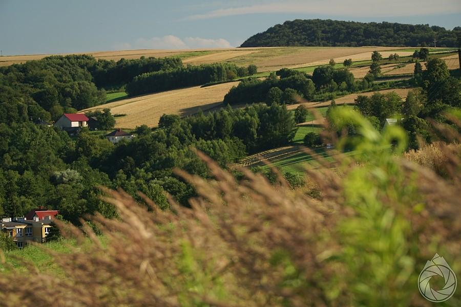 przed zjazdem do Jaszczurowej