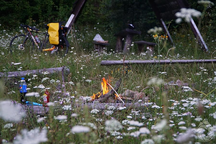 ognisko w środku zielska