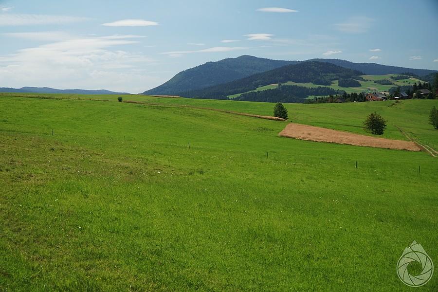 niesamowita zieleń pod Wawrzką i Jaworzem!