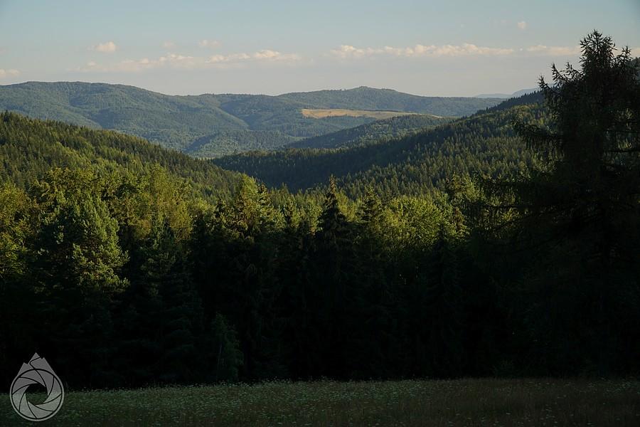 rzut oka za granicę (kraju)