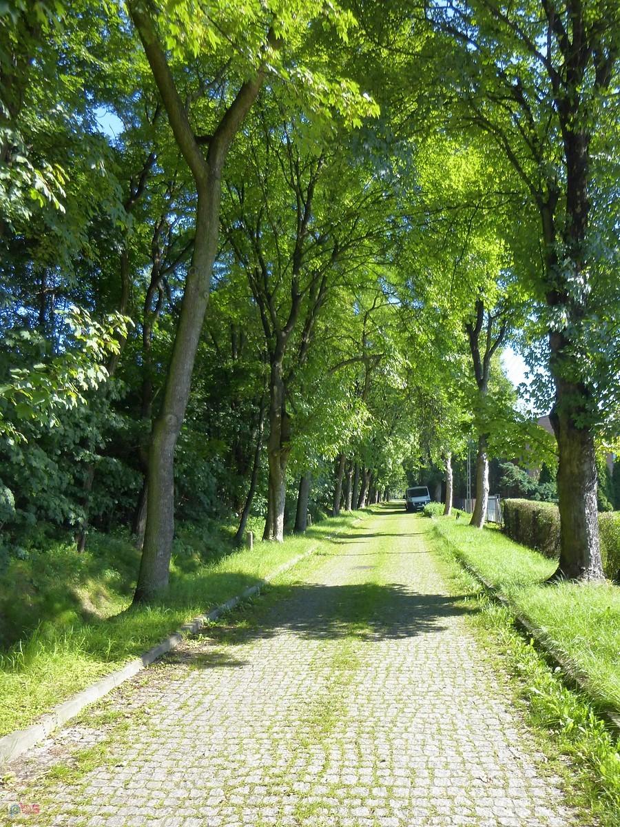 Zielona odnoga Beskidzkiej