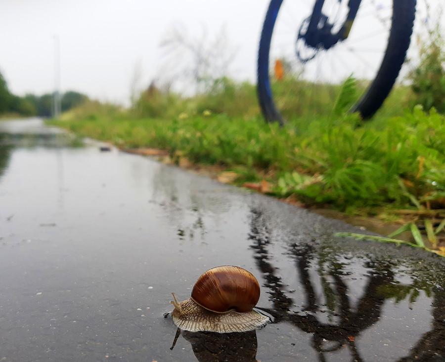 Trzeba było dziś jeździć slalomem