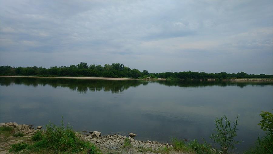 Dzika rzeka Wisła